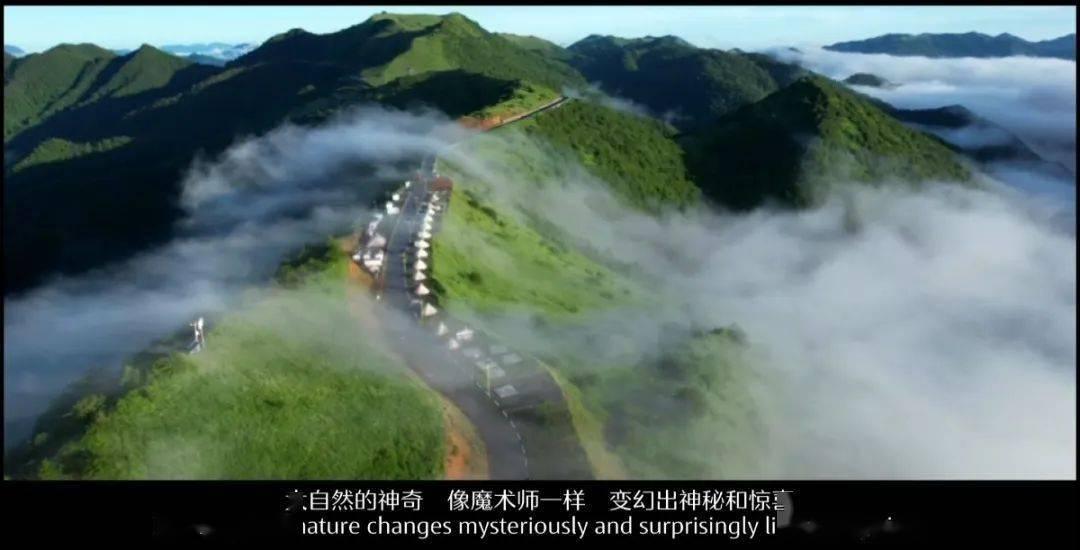 探索冷知识的中考作文非遗800字平台